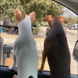 Meet your Posher, Lisa